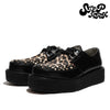 STEPARK COMODO LEOPARD